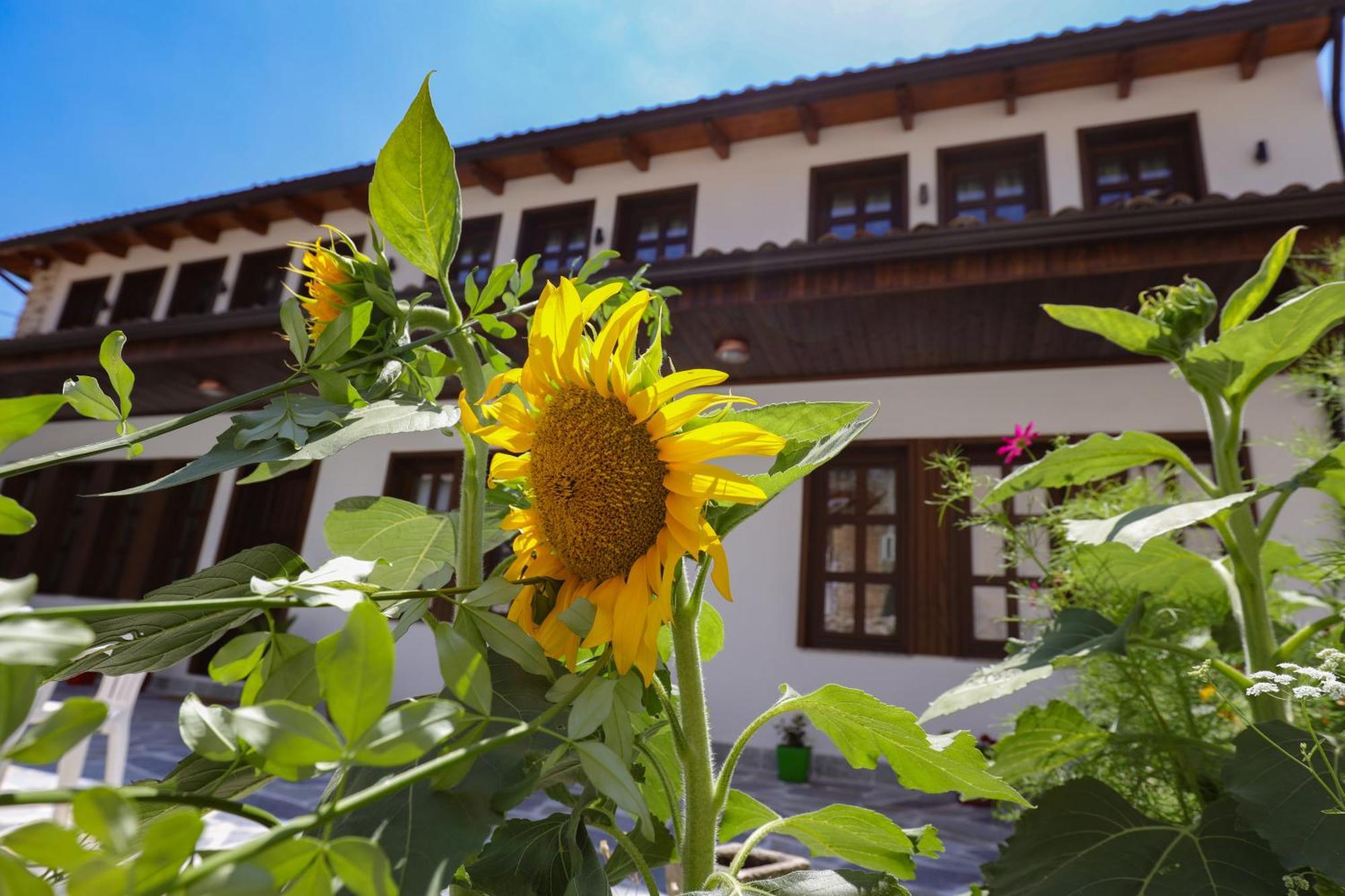 The House Of Dollma , Inside Kruja Castle Hotel Buitenkant foto
